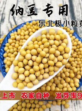 纳豆专用690小黄豆当季新豆