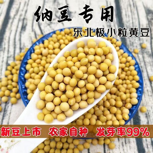 纳豆专用690小黄豆当季新豆