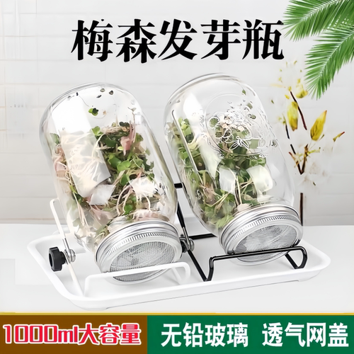 家用梅森玻璃发芽瓶芽菜发芽罐
