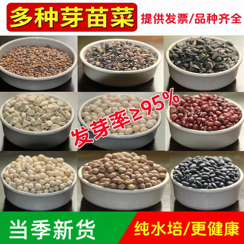 芽苗菜种豆芽菜四季水培蔬菜籽孑