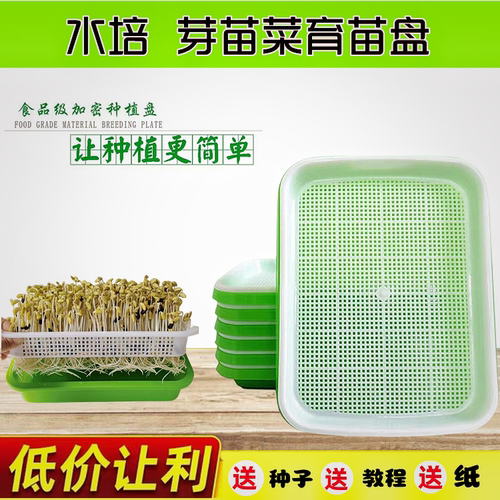芽苗菜育苗盘豆芽发芽盆水培蔬菜
