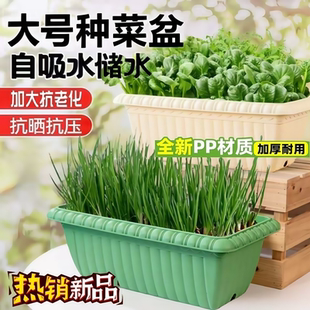 加厚阳台种菜盆自吸水家用韭菜盆加大长方形塑料花盆家庭蔬菜种植