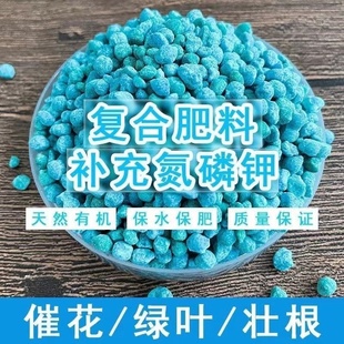 月季 高钾爆笋肥绣球铁线莲三角梅专用催花壮根花卉盆栽通用水溶肥