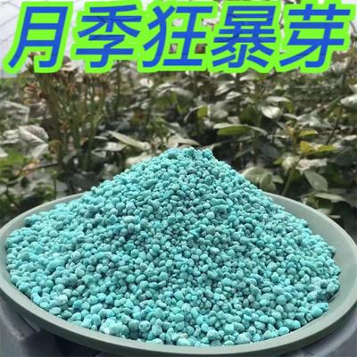 月季玫瑰专用肥爆花爆笋肥