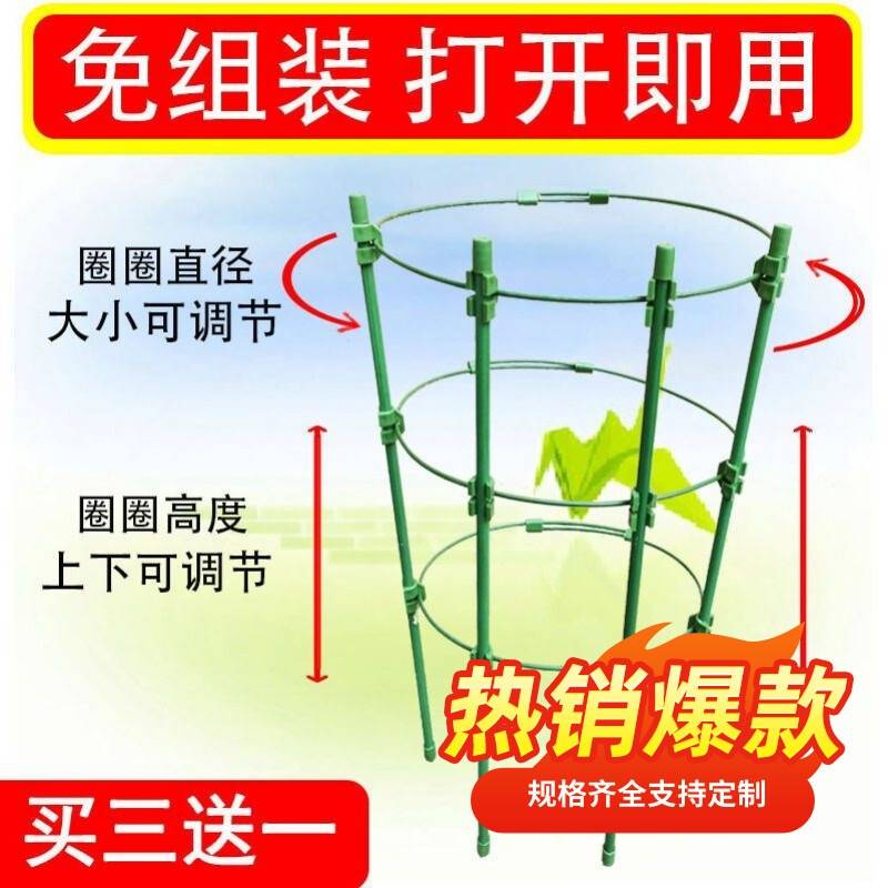 铁线莲支柱绿萝藤植物花架