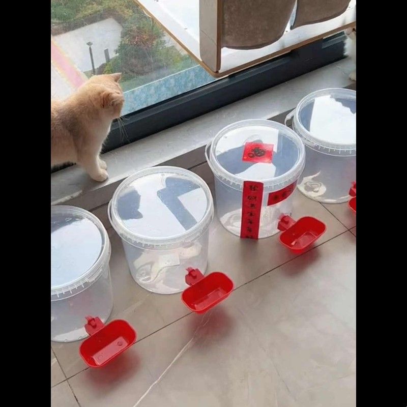 猫咪饮水机创意家用大容量不插电户外便携可拆卸不回流宠物喂水器