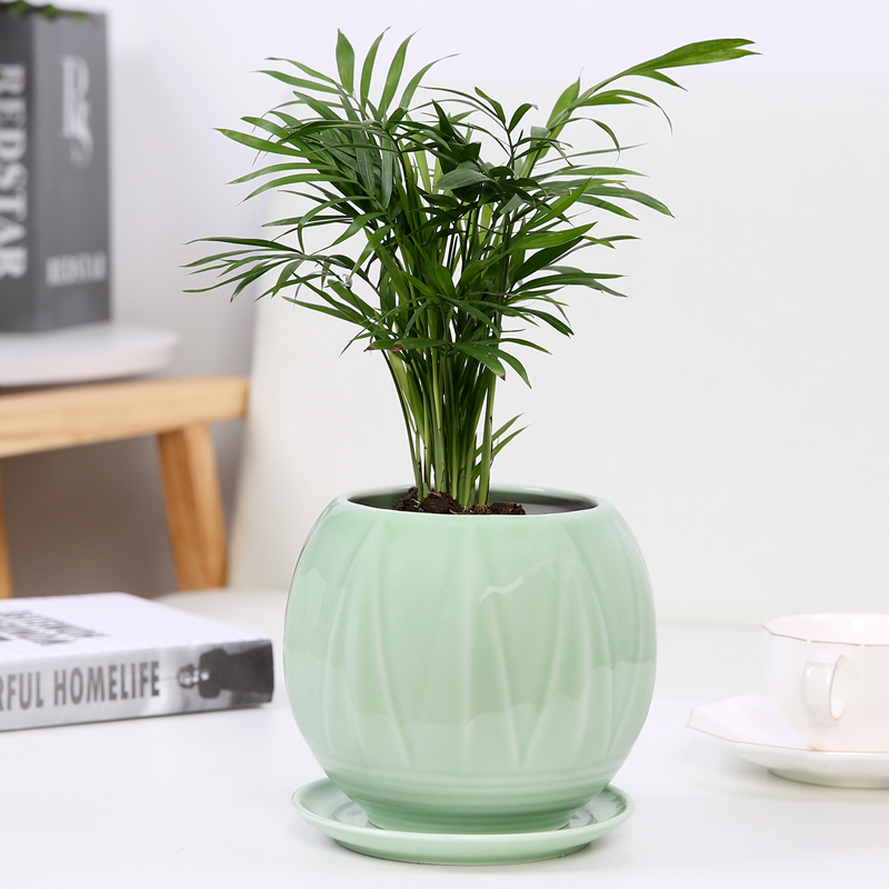 陶瓷室内绿萝吊兰多肉植物花盆