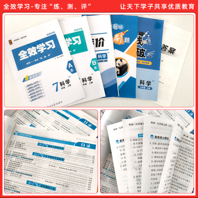 全效七年级上册浙教版同步必刷题