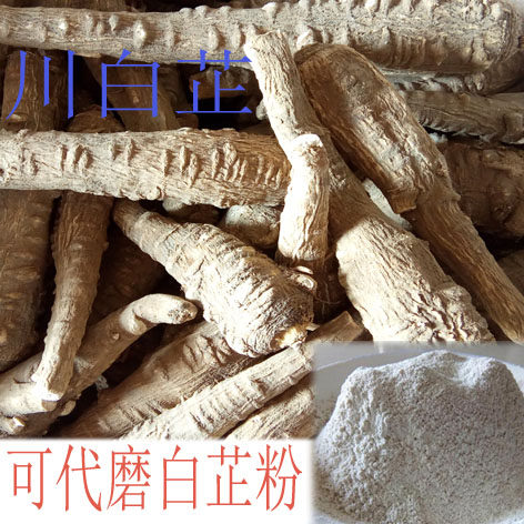 卤料香料四川白芷遂宁白芷可代磨白芷面膜粉 白芷粉一份500克包邮,粮油调味/速食/干货/烘焙,香辛料/干调类,淘宝优惠券,粉丝福利购,淘宝优惠卷