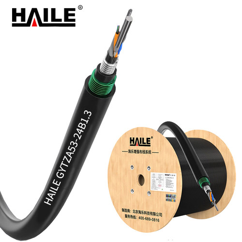 HAILE 24芯重铠阻燃光缆 GYTZA53-24B1.3 1米