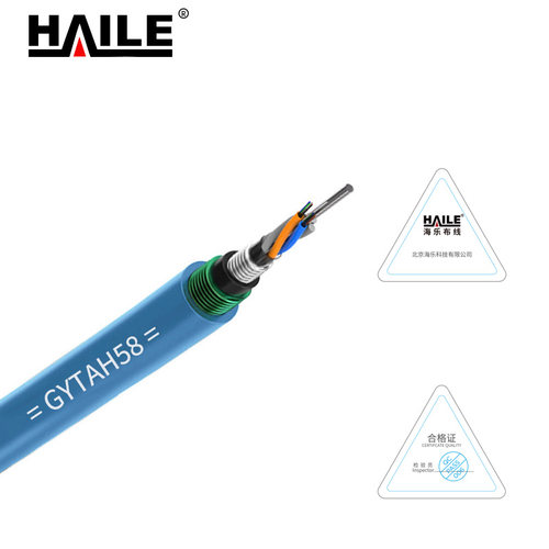 HAILE 蓝色特种24芯光缆1米 GYTAH58-24B1L  定制产品 4000米起售