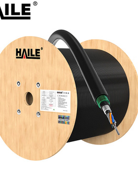 HAILE GYTA53-48B1.3光缆 1米  HT220-48SC