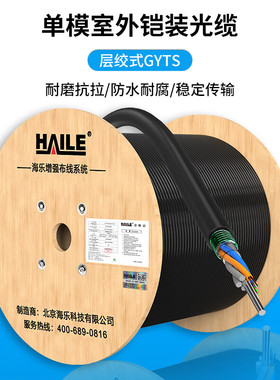 海乐Haile 单模室外光缆层绞式4芯6芯8芯12芯24芯48芯72芯96芯144芯GYTS-4b1.3多买整条发铠装光纤HT210-4SC