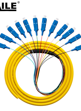 HAILE单模12芯G.654E束状尾纤 SC12G.654e-3m/条