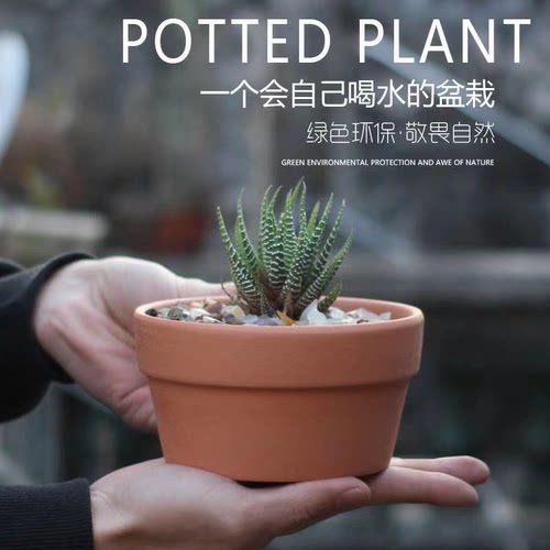 清仓红陶花盆透气口径多肉绿植兰