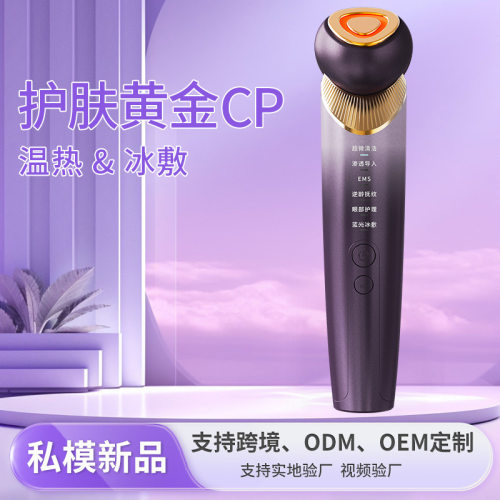 家用美容仪器脸部按摩洁
