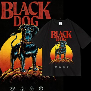 Led Zeppelin齐柏林飞艇乐队周边短袖纯棉夏季男女圆领套头T恤