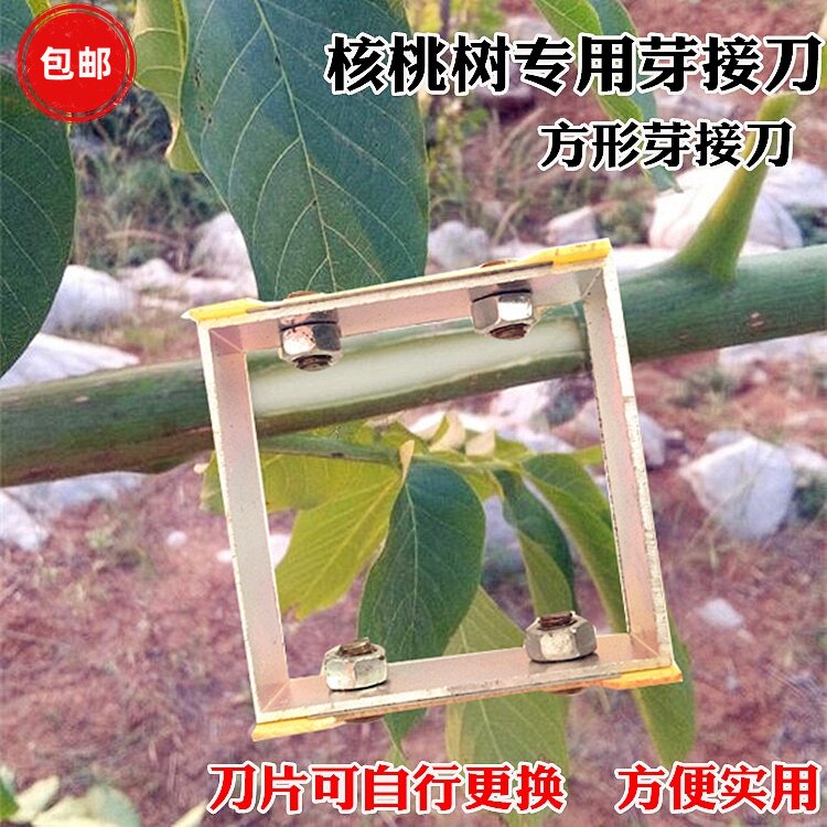 核桃树嫁接专用双刃芽接刀