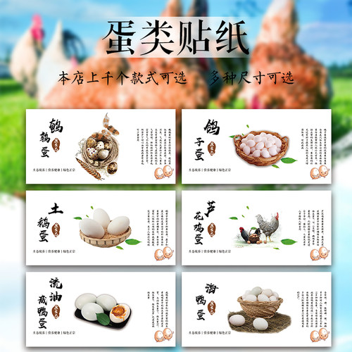不干胶标签放养信鸽现货鹧鸪蛋