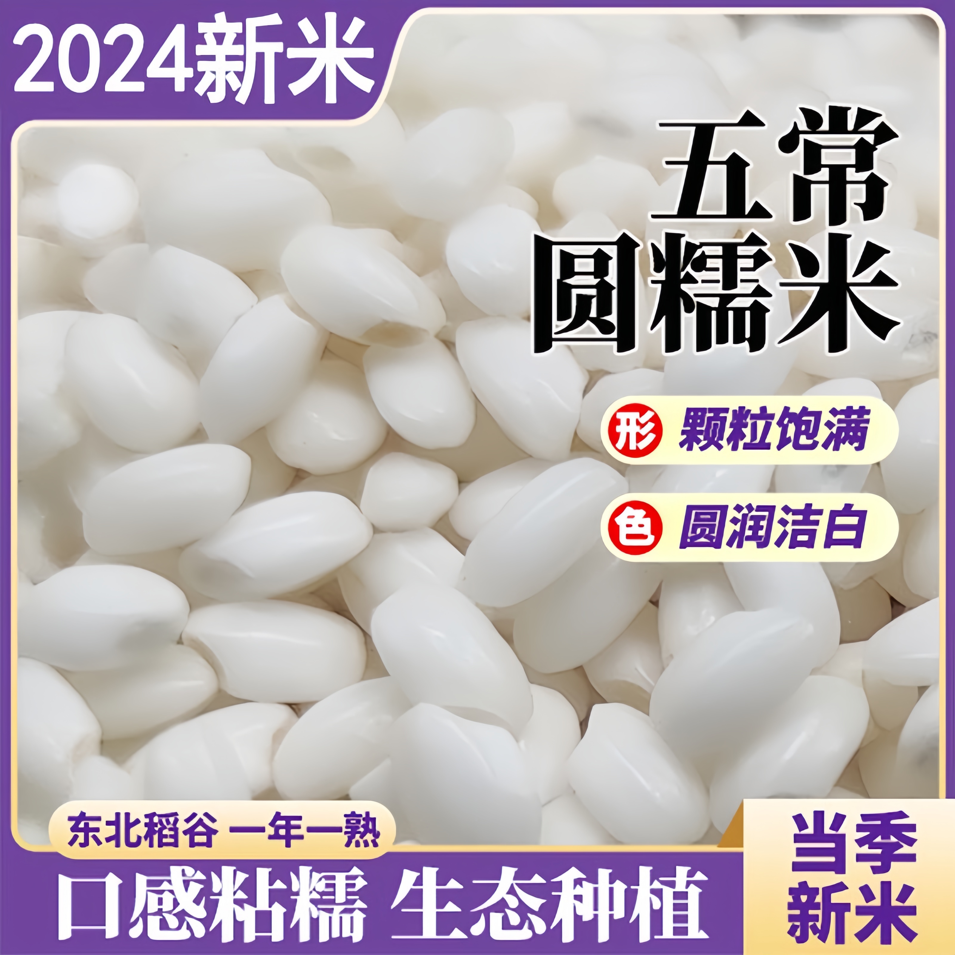正宗】东北优质圆糯米江米粽子酿酒专用黏米粘大米白糯米饭团糯米