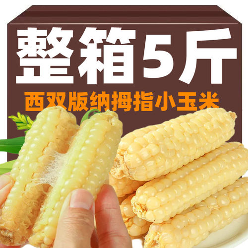 西双版纳香糯拇指小玉米甜