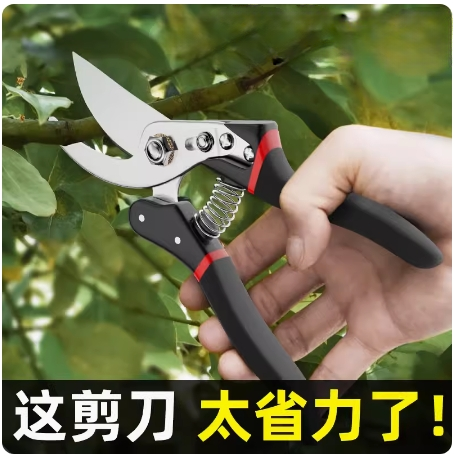 德国精工剪树枝专用剪刀园艺果树修枝剪sk5家用修花省力剪子园林,五金/工具,园艺剪,淘宝优惠券,粉丝福利购,淘宝优惠卷