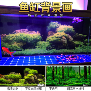 鱼缸背景贴纸画高清图3d立体水族箱背景纸5D壁纸水草缸金鱼造景图