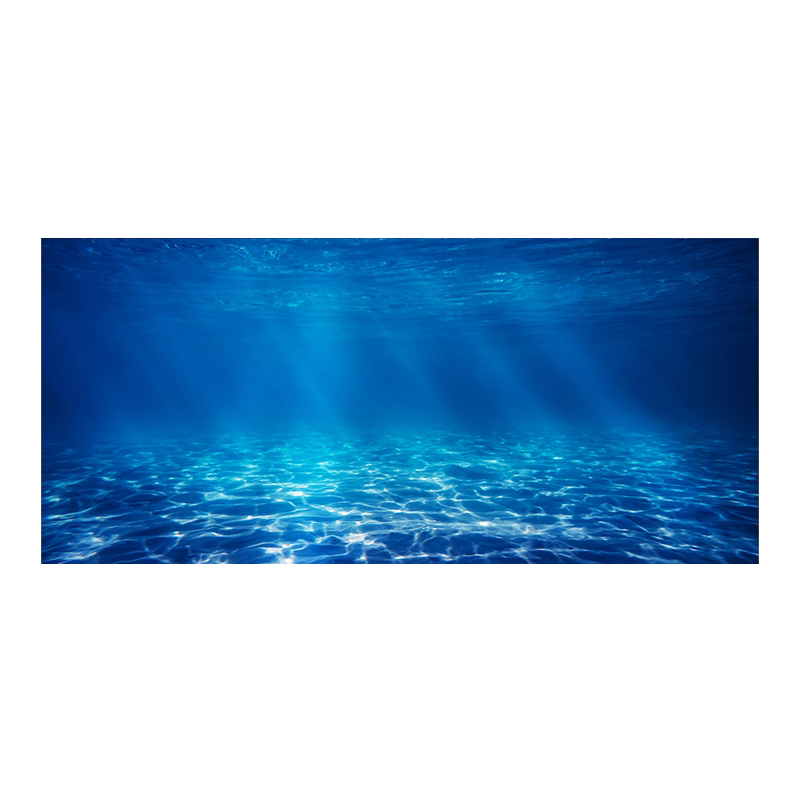 鱼缸背景纸画高清图3d立体壁纸水族箱贴纸壁画观赏鱼造景装饰海景