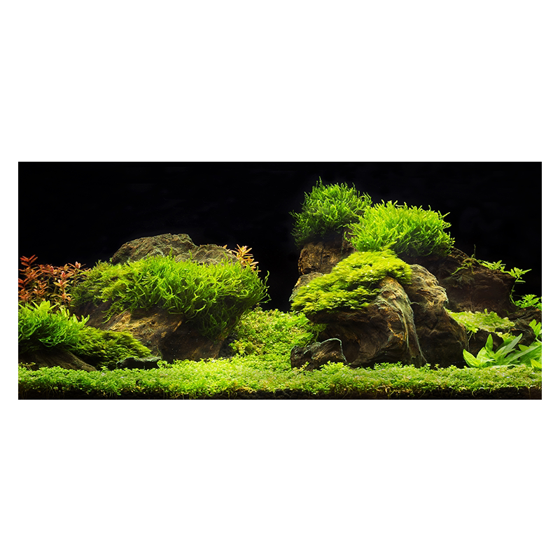 鱼缸背景贴纸画高清图水族箱壁纸