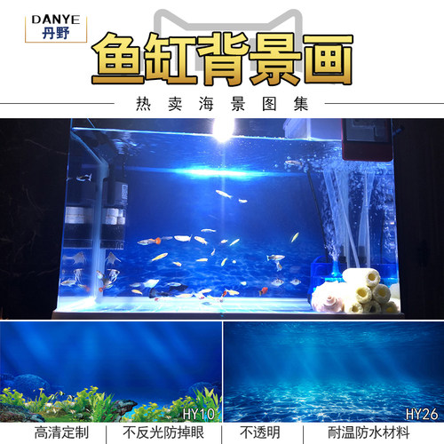 水族箱鱼缸背景纸画高清图3d贴纸
