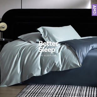 艾美家100S匹马棉贡缎四件套床单柔软亲肤高级感轻奢高端四件套