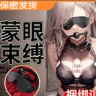 sm道具口球口塞夫妻共用肛塞乳夹女奴调教性工具眼罩另类调情玩具