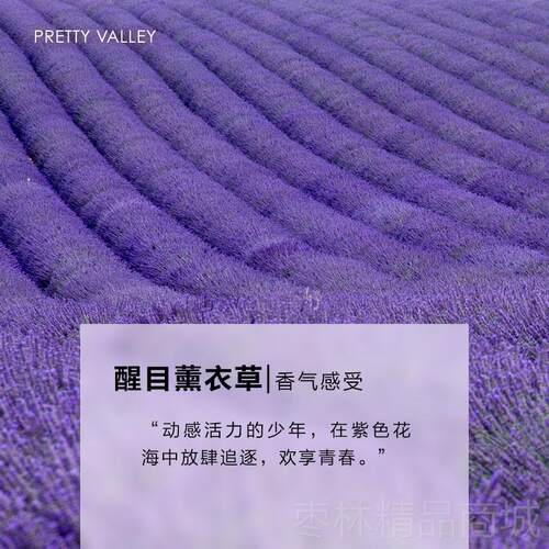 正品美汇植醒舍目薰衣草精油5ml天然物香薰睡眠助眠安眠去痘印