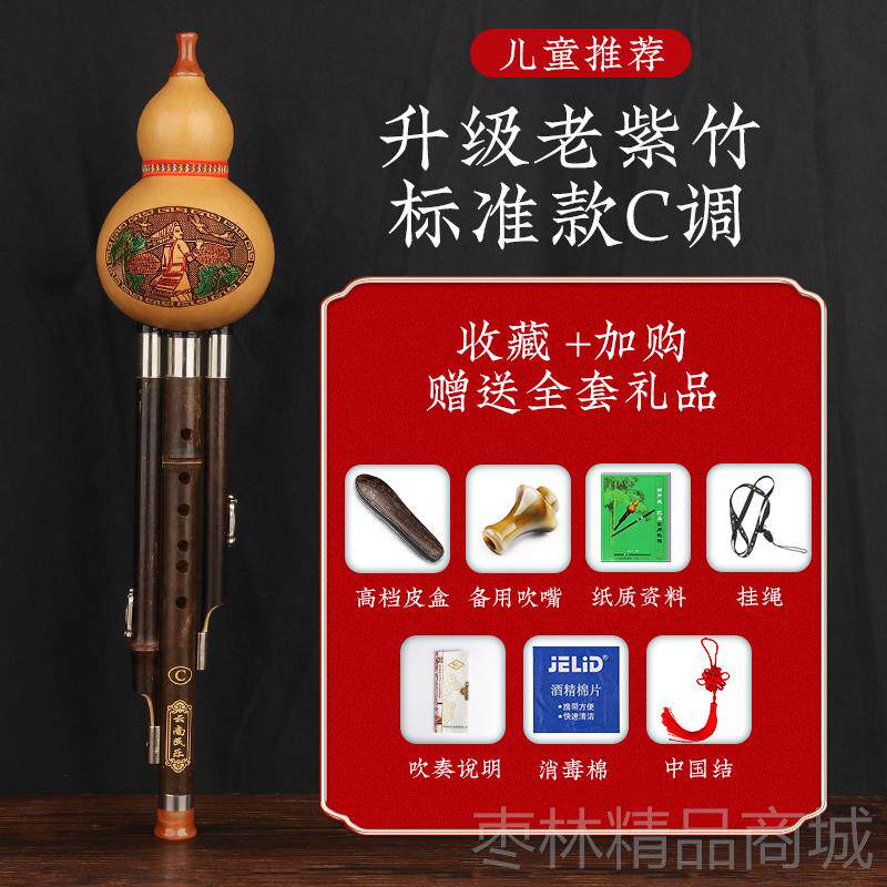 正品型葫芦丝初乐器C调学生学专用降B儿童成葫人专业演奏防摔紫竹