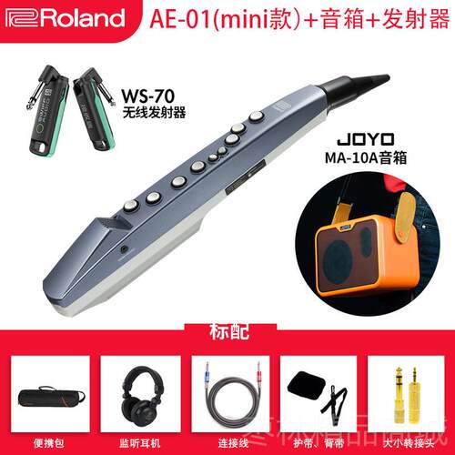 正品Roland初管罗兰吹乐器AE01C AE05电电子萨克斯娱乐学管乐葫芦