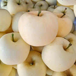 黄金奶油富士苹果奶油鲜果新鲜黄苹果水果礼品整箱黄金果牛奶萍果