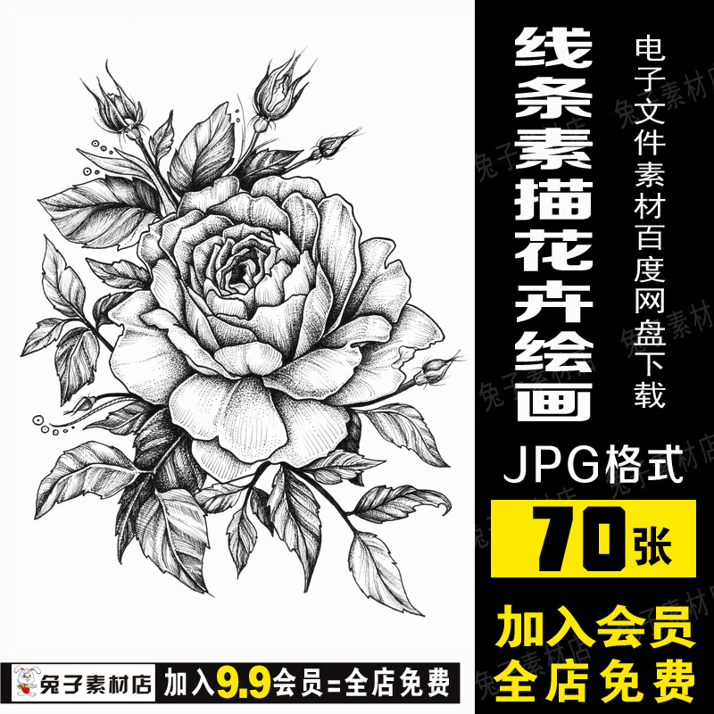 b90美术临摹素材花卉植物花瓶黑白线条临摹素材中高考静物素描