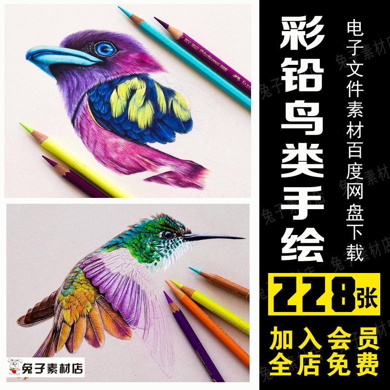 b11高清手绘彩铅小鸟美术临摹素材手绘彩铅临时素材绘画电子文件