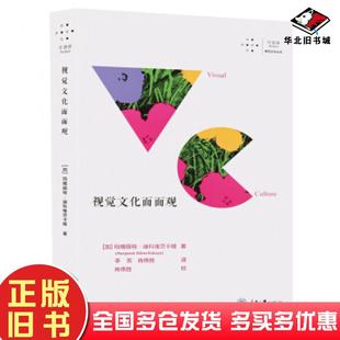 正版旧书视觉文化面面观加玛格丽特迪科维重庆大学出版社9787568914901