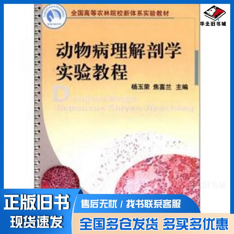 正版旧书动物病理解剖学实验教程杨玉荣焦喜兰主编中国农业大学出版社9787565504778