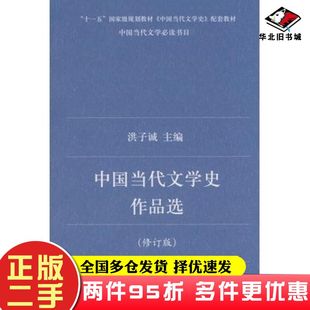 二手书中国当代文学史作品选洪子诚主编北京大学出版社9787301138755