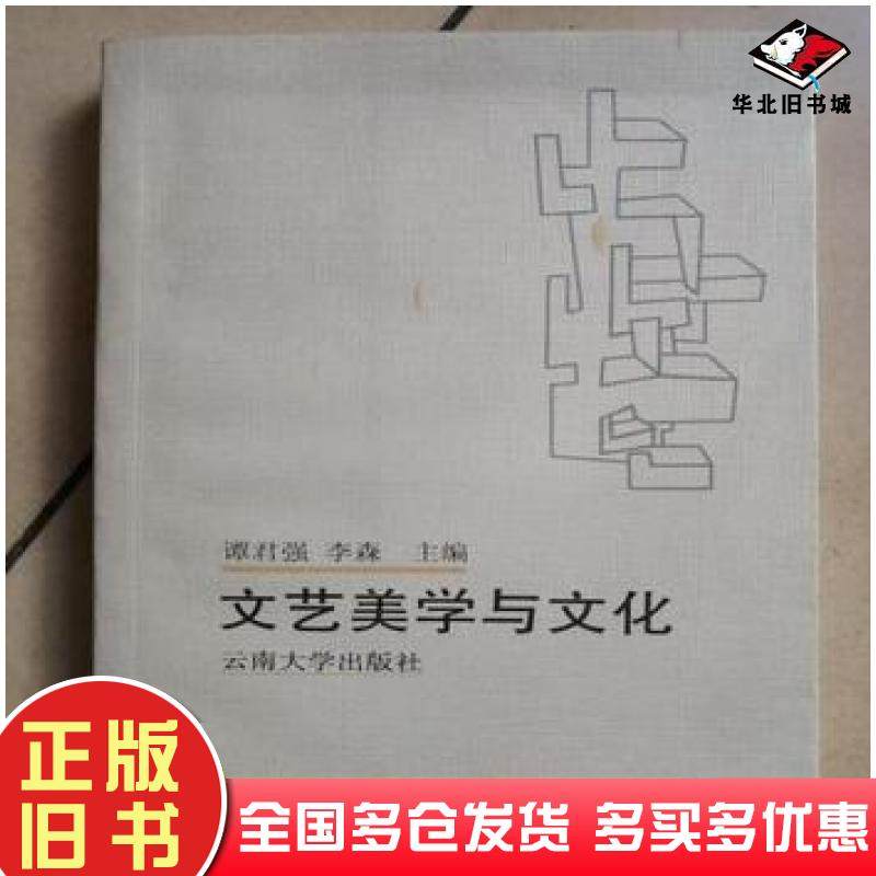 正版旧书文艺美学与文化谭君强李森主编云南大学出版社9787810684965