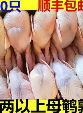40只大鹌鹑 现杀鹌鹑放血去内脏 活体新鲜白条鹌鹑肉乳鸽烧烤冷冻