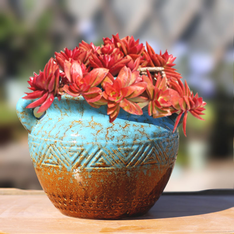 包邮大号法师群生盆粗陶透气花盆