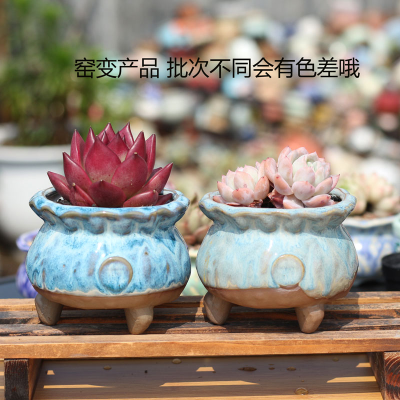 窑变釉多肉花盆粗陶透气盆景德小奶罐陶盆布袋群生盆流釉飞碟手捧