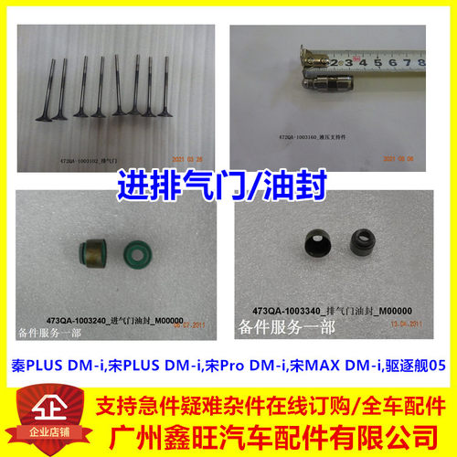 专用于比亚迪秦PLUS进气门/油封