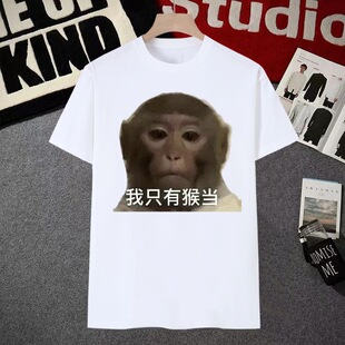 猴子表情包短袖男吗喽t恤女搞笑猴图喜猴猴当恶搞沙雕斗图学生装