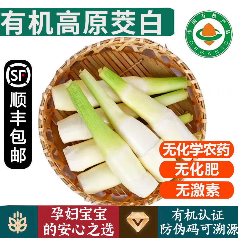 有机茭白【顺丰到家】现摘当季蔬菜无农残激素孕妇宝宝安心蔬菜