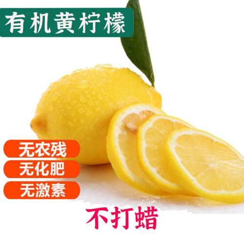 有机黄柠檬 四川健康无农残激素有机水果