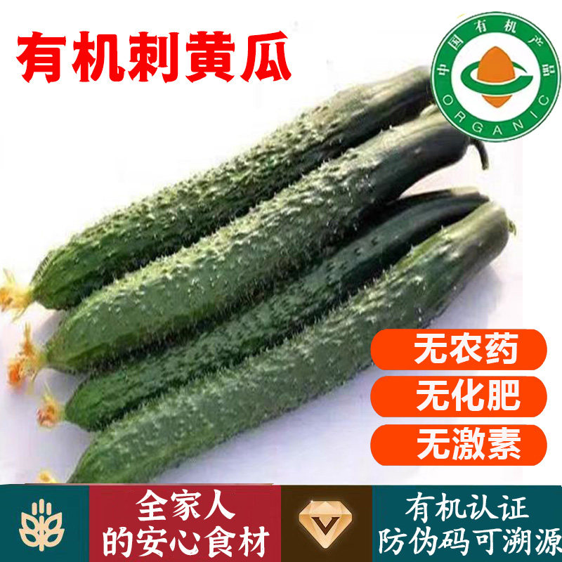 有机刺黄瓜【顺丰到家】新鲜黄瓜当季现摘孕妇宝宝可食